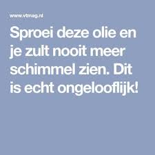 pin by mieke van bavel on tips diy cleaning products household hacks cleaning hacks