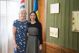 Ana Birchall, discuții cu Elisabeth Millard. Proiecte pentru aprofundarea  Parteneriatului Strategic cu SUA