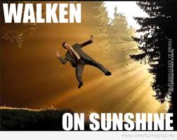 May you find great value in these sunshine quotes and inspirational quotes about sunshine from my large inspirational quotes and sayings database. Funny Quotes Sunshine Quotesgram