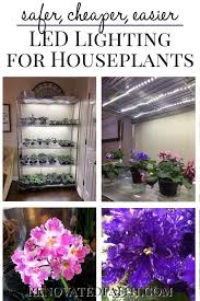 How To Grow Plants With Led Lights African Violet Light Stand Diy Plant Stand Diy Greenhouse Plant Stand