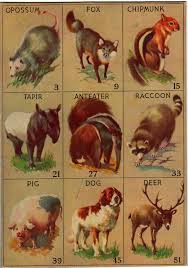 El Rancho Not So Grande Photo Animals Animal Illustration Animal Art