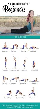 Daily Yoga Poses Easy Yoga Workouts Yoga Poses For Beginners Yoga For Beginners