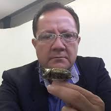 El Gobierno de Autlán lamenta profundamente el sensible fallecimiento de la  Arq. Paola López Portillo Dingfelder, quien durante la Administración  2012–2015 se desempeñó como Directora de Desarrollo Urbano. Enviamos  nuestras más sinceras