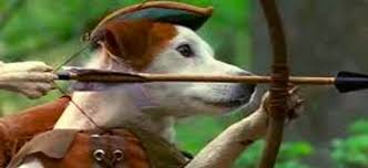 Wishbone may also refer to: Wishbone Movie Coming From Producer Peter Farrelly Of Green Book And Movie 43 Fame En Buradabiliyorum Com