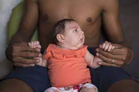 Zika Virus Explained In 6 Charts And Maps Vox