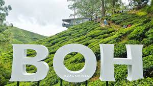 Ladang teh boh sungai palas, cameron highlands. Bohplantations Hashtag On Twitter