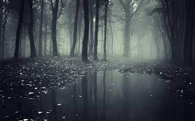 ✓ free for commercial use ✓ high quality images. Spooky Forest Wallpapers Wallpaper Cave