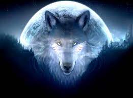Coole 3d hintergrundbilder wolf cool animal backgrounds wallpapers browse. 3d Wolf Wallpaper Hd Wolf Background Wolf Wallpaper Wolf Pictures