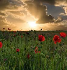 Gloria McDonnell-Jepsen Obituary