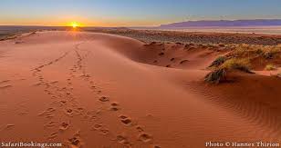 Kalahari Desert