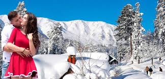 Budget Kashmir Honeymoon Tour