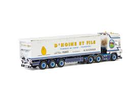 WSI Models