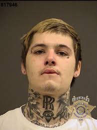 Five arrested after child, injured dog found in 'deplorable' conditions at  Aloha home