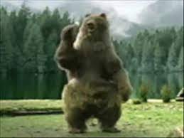Black bear hunt in northwest, wisconsin. Saturday Bear Fever Youtube
