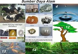 Sebutkan Jenis Jenis Sumber Daya Alam