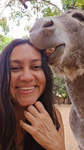 MAIS UMA VEZ , Só um DESABAFO., Que as palavras que eu falo, não sejam  ouvidas como prece e nem repetidas com fervor, mas apenas respeitadas como  a única coisa que resta a uma mulher inundada de bons ...