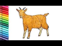 How To Draw A Goat 3 Easy Step By Step For Kids Beginners Children Youtube Drawings Goats Animals