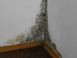 как избавиться от плесени и грязных швов между плиткой Kak Ubrat Plesen I Gribok So Sten Proverennyj Sposob Youtube Ubrat Plesen Poleznye Sovety Stena