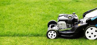I contacted the provider after another provider failed to show up to mow my lawn a few days earlier. Low Cost Lawn Care Mowing Service Cvshome