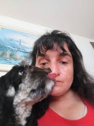 What is the Hershey kiss pattern