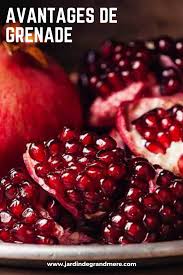 Epingle Sur Jardin De Fruit