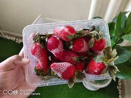Resepi Nasi Lemak Strawberry