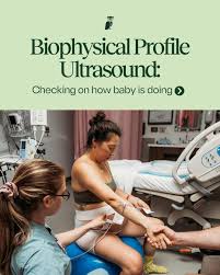 Image result for Biophysical Profile