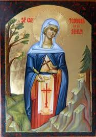 Start by marking sfânta teodora de la sihla as want to read reader q&a. 9 Best Sfanta Teodora Images Orthodox Icons Princess Zelda Greek Icons