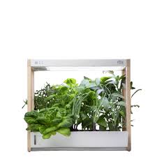 Ntf pvc home garden hydroponic system 3 layers 12 pipes type a feature item no. The 6 Best Indoor Garden Kits And Systems Of 2021