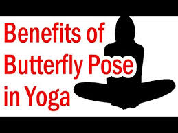 Check spelling or type a new query. What Is The Benefit Of Butterfly Yoga Lotus Kitty