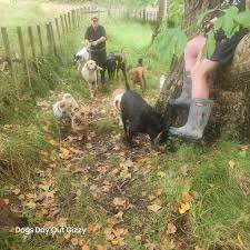 DOGS DAY OUT GIZZY added a new photo...