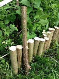 Diy Beetumrandung Aus 30 Cm Langen Haselnuss Staben Bestimmt Auch Schon Im Aussengehege Um Kostengunstig Bere Beeteinfassung Beeteinfassung Holz Beetumrandung