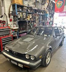 Image result for Gray 1981 Alfa-Romeo