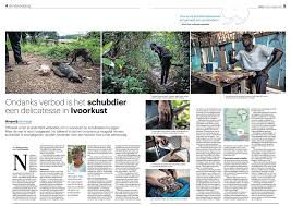 Joost Bastmeijer Photography Photos Facebook