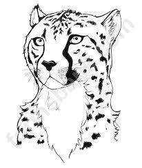 Do your kids like a cheetah very much? Cheetah Coloring Sheet Printable Pdf Download