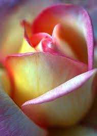 Leah Pollman Obituary (1930