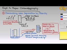 Paper Chromatography Lab Report The New Southern View