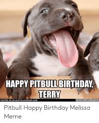 Send family & friends hilarious birthday ecards that won't end up in the trash! Happy Pitbull Birthday Terry Memecrunchcom Posted On Aplacetolovedogscom Pitbull Happy Birthday Melissa Meme Birthday Meme On Ballmemes Com