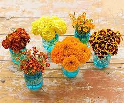 15 Of The Easiest Annual Flowers To Grow From Seed Easiest Flowers To Grow Growing Seeds Flower Seeds