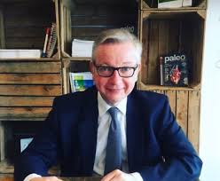 Michael gove's wife has expressed concern about boris johnson's bid for the tory leadership, according to a leaked email seen by sky news. Michael Gove Bio Career Progression Family Wife Net Worth