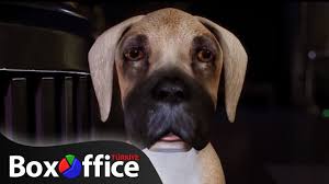 Jurassic Hav Hav Jurassic Bark Fragman Turkce Dublajli Youtube
