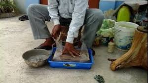 Calcium aluminate cement has been used for a long time for slabs and other bonsai containers. How To Make Cement Concrete Bonsai Pot At Home Youtube