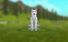 Image Du Tableau Wildcraft De Schleich Loup Blanc Loup