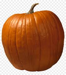 Pngkey provides millions of hd png images for free download. Pumpkin Pumpkin Images Transparent Background Clipart 393351 Pikpng