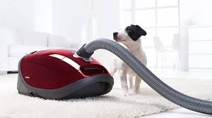 While bagless models are more convenient than their bagged counterparts, emptying a dust cup may irritate those who suffer from pet allergies. Best Vacuum For Pet Hair 2021 10 Tested Vacuums For Pets Real Homes