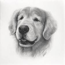 Maybe you would like to learn more about one of these? Hyper Realistic Animal Pencil Drawings By Helen Violet