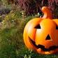 Geilston Garden Halloween Trail event image
