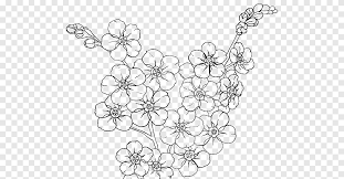 Mewarnai gambar bunga sakura download by sizehandphone. Menggambar Desain Bunga Lukisan Buku Mewarnai Bunga Tangan Dicat Bunga Sakura Putih Cabang Png Pngegg