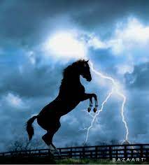 California Chrome Lightning In A Bottle Lightning In A Bottle California Chrome California