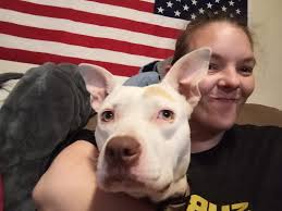 OWNER FOUND!!! Anyone missing a dog? Found in Big Prairie?!